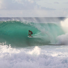 Co-occurrence of surf breaks and carbon-dense ecosystems suggests opportunities for coastal conservation