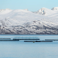 The case for fish farming - TED talk