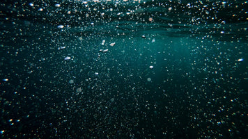 New MBARI technology reveals ocean carbon storage in real time