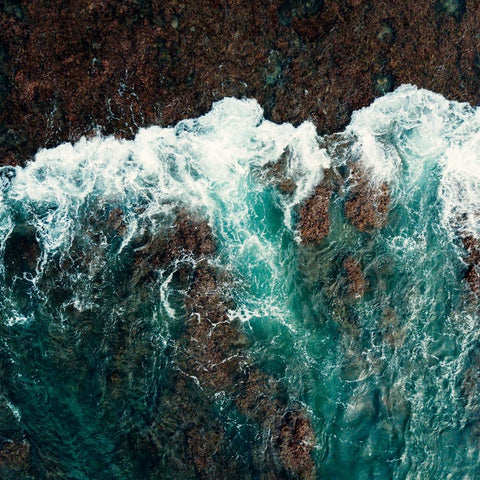 Turning the Tide
