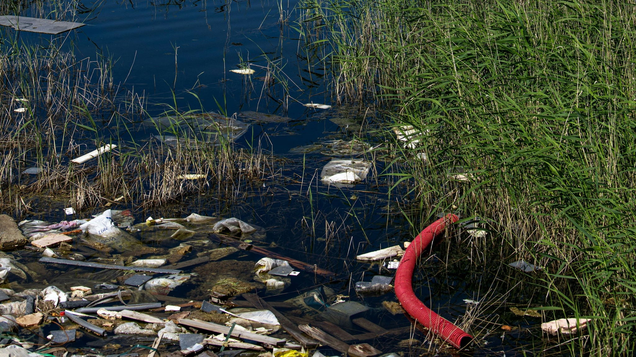 Researchers develop next-gen tool that could help protect critical waterways: 'Highlights the importance of early intervention'