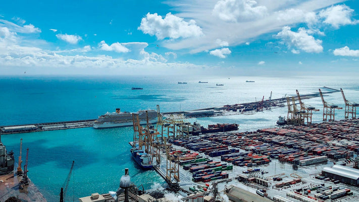 Researchers astounded by simple solution to major issue at world's busiest ports: 'Like making a reservation at a popular restaurant'