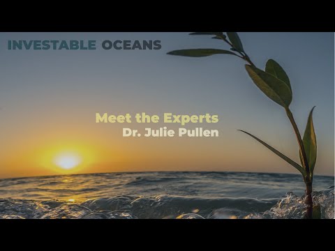 Meet the Experts - Dr. Julie Pullen